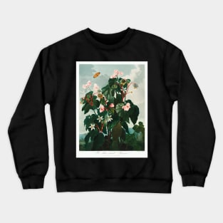 The Oblique–Leaved Begonia Crewneck Sweatshirt